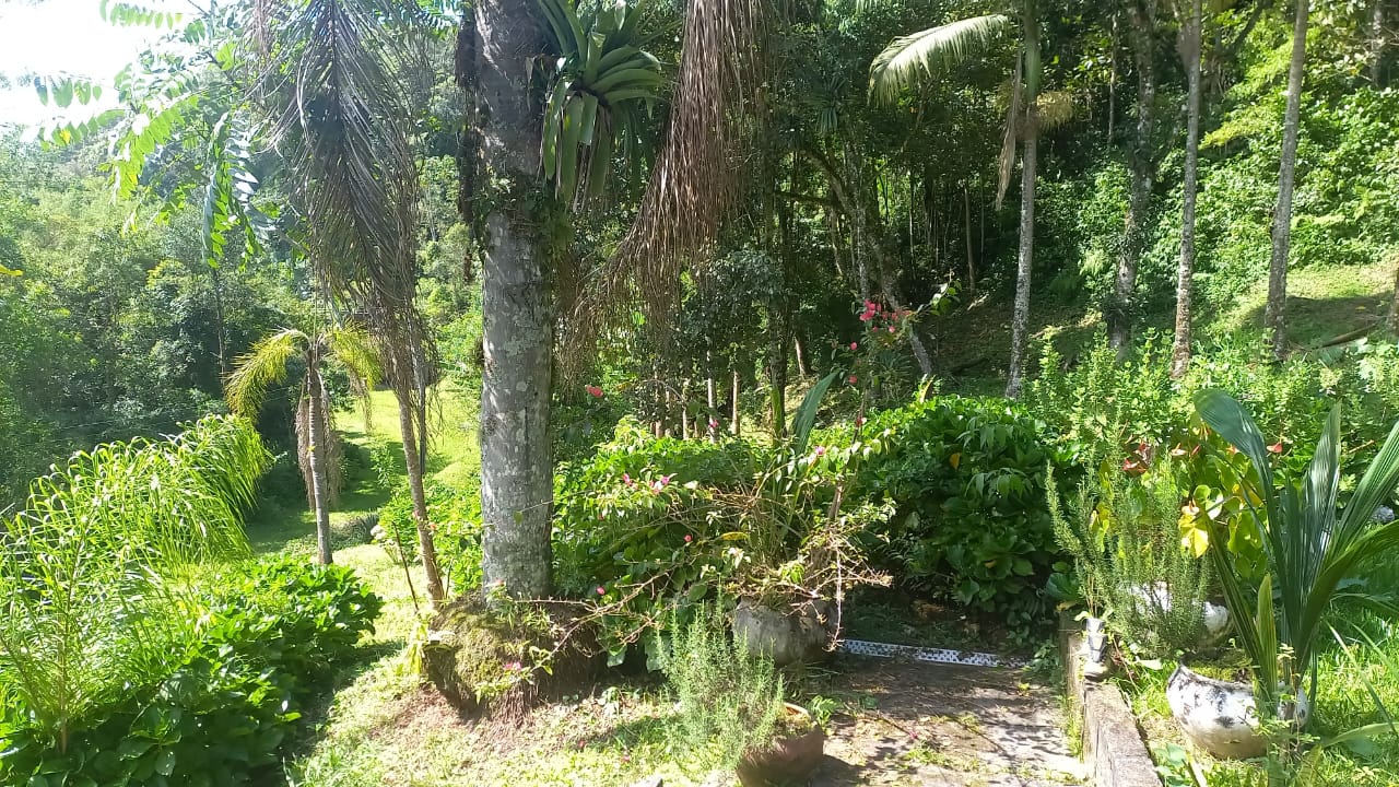 Imagem Chácara com 2 Quartos à Venda, 117 m² em Águas Mornas - Águas Mornas