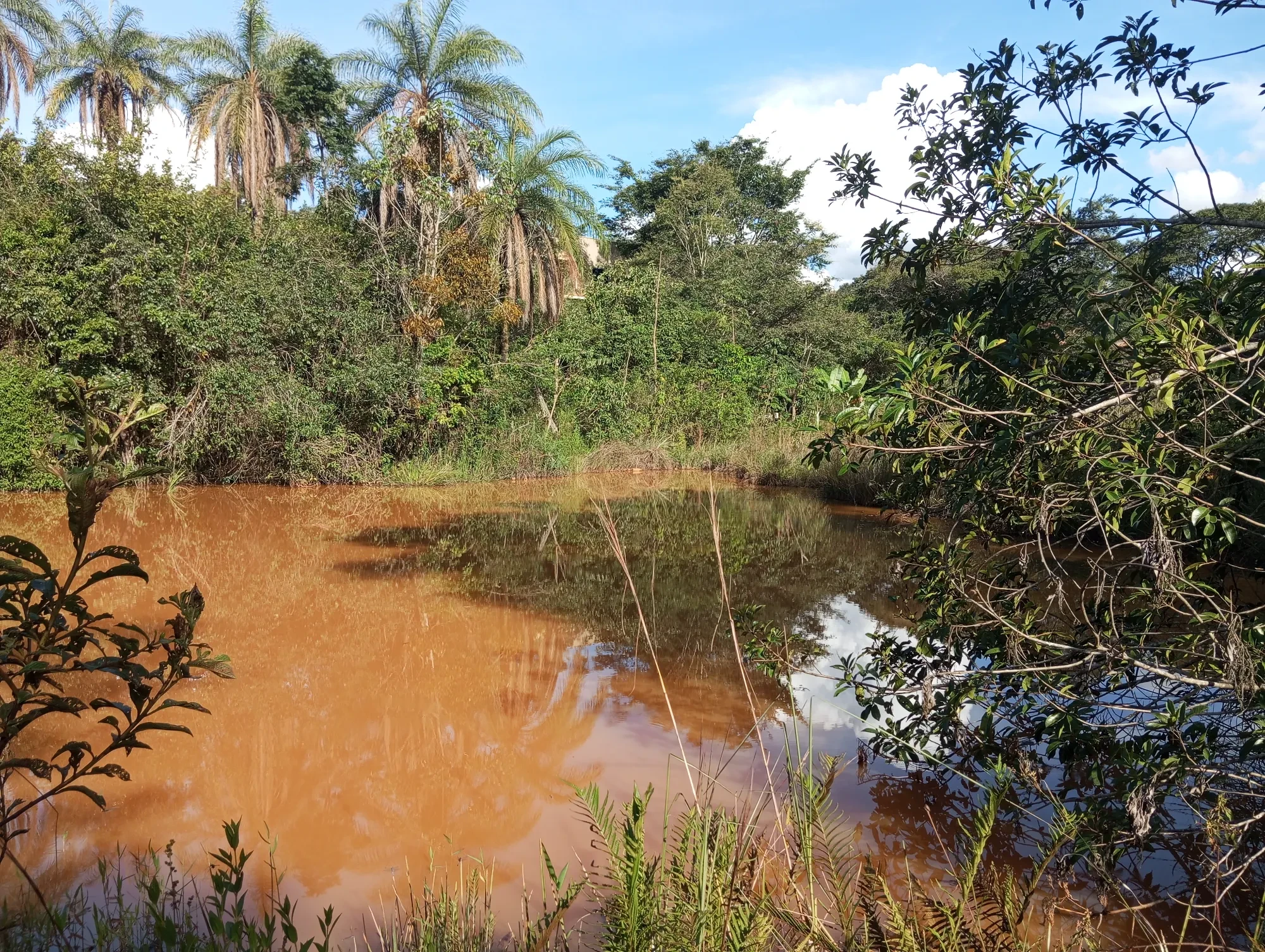 Foto do imóvel: Chácara à Venda, 20100 metros em Mateus Leme - Mateus Leme