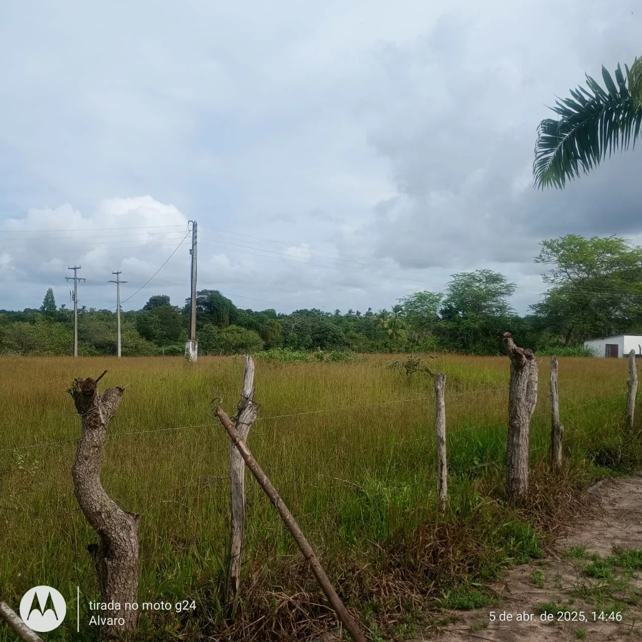 Imagem Fazenda à Venda, 14 HA em Vera Cruz - Vera Cruz