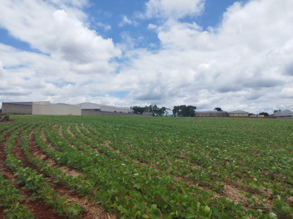 Imagem Terreno à Venda,  em Vila Industrial - Arapongas