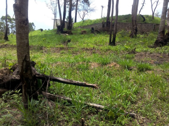 Imagem Terreno à Venda, 4.410 m² em Caete (Mailasqui) - São Roque