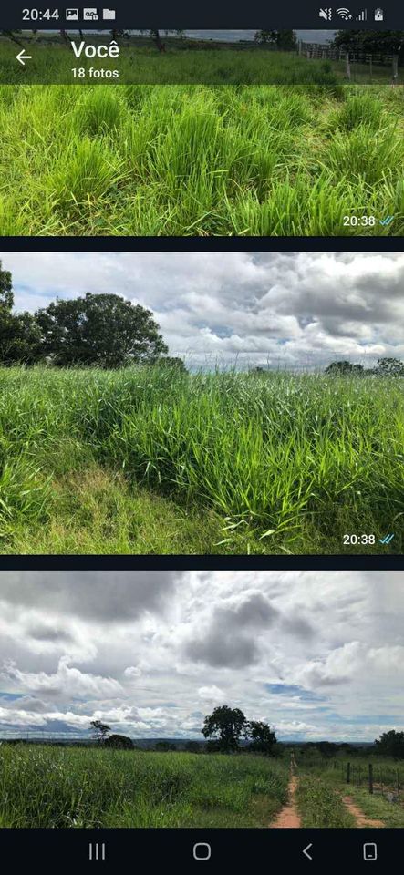 Imagem Fazenda à Venda, 1047 HA em ZONA RURAL - Guiratinga