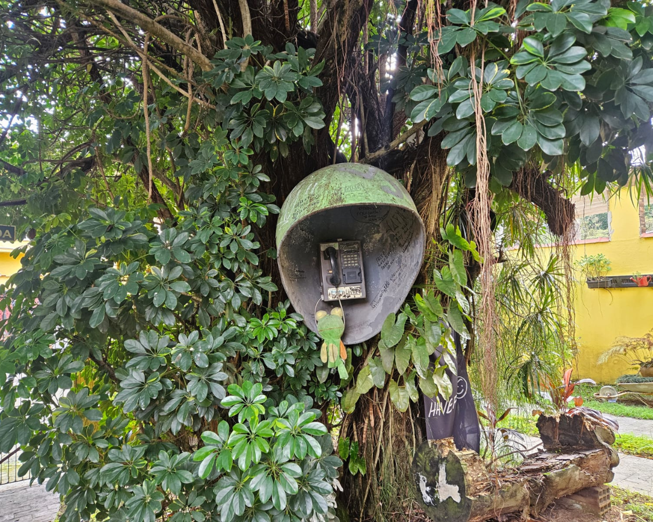 Imagem Casa com 1 Quarto à Venda, 102 m² em Jardim São Francisco - Cubatão