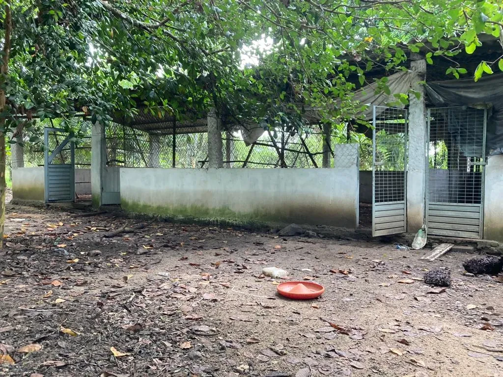 Imagem Imóvel com 3 Quartos à Venda, 17424 metros em Cachoeira - Cachoeira