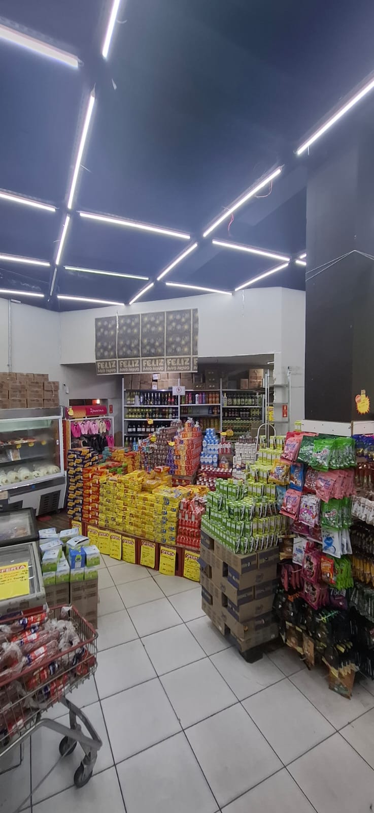 Imagem Imóvel Comercial à Venda, 298 m² em Jardim dos Oliveiras - Campinas