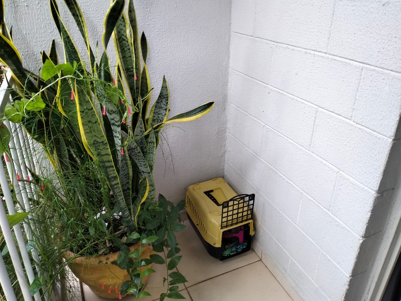 Imagem Apartamento com 2 Quartos à Venda, 61 m²em Setor Urias Magalhães - Goiânia