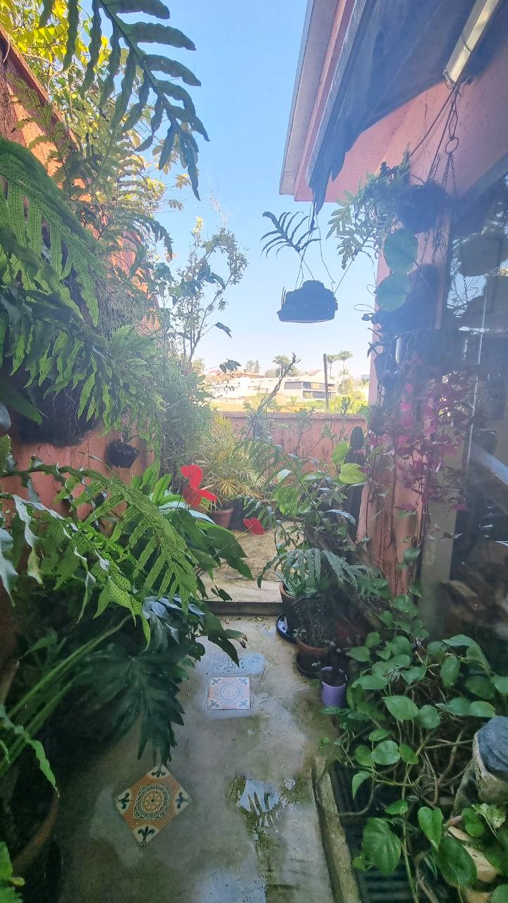 Imagem Casa com 4 Quartos à Venda, 460 m²em Vila Progredior - São Paulo