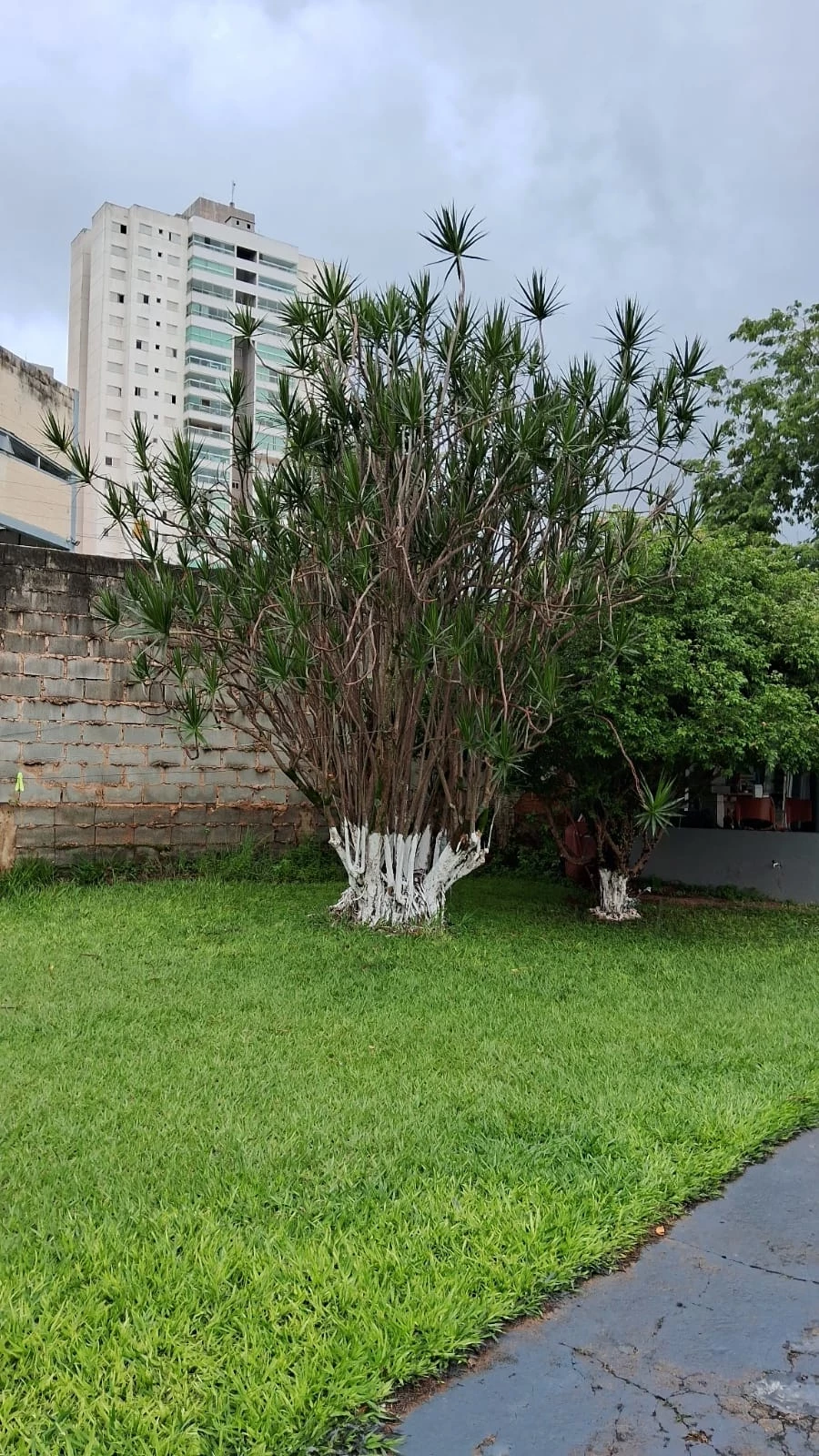 Imagem Terreno à Venda, 755 m² em Loteamento Celina Park - Goiânia