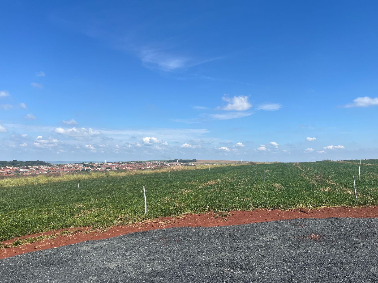 Imagem Terreno à Venda, 250 m² em Monte Carmelo - Cravinhos