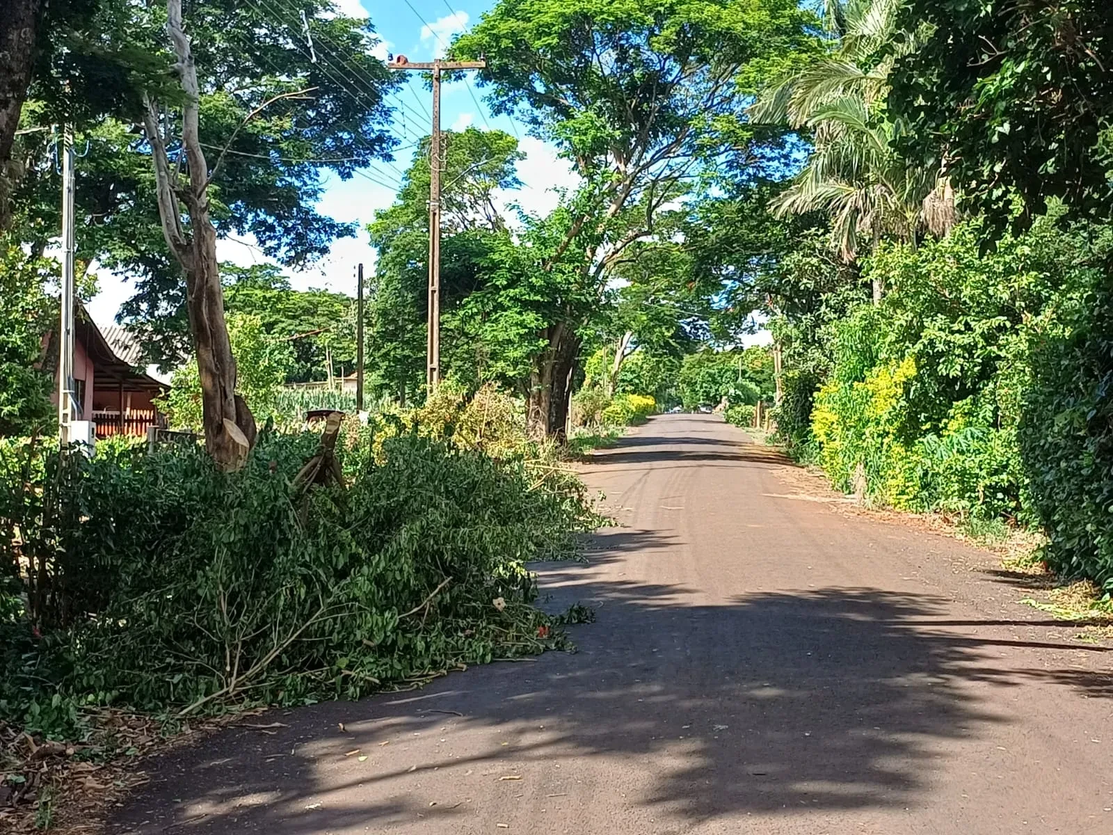 Imagem Chácara com 2 Quartos à Venda ou Locação, 90 m² em Pitangueiras - Pitangueiras