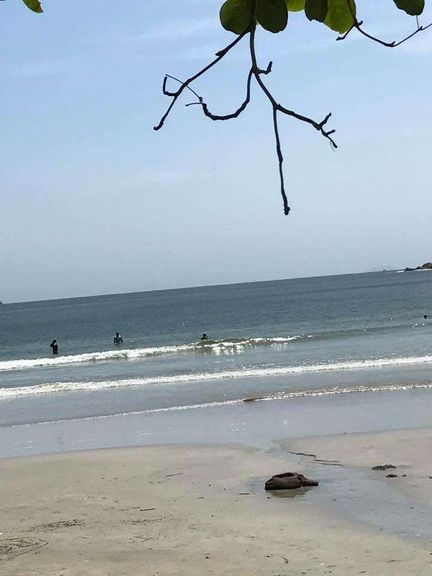 Terreno à Venda, 624 m² em Pitangueiras - Guarujá