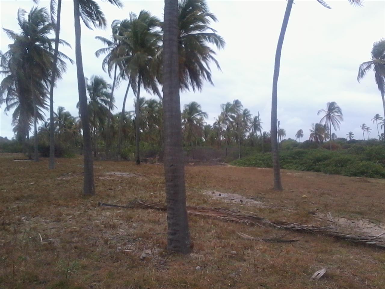 Imagem Terreno à Venda, 168.640 m² em Praia de Pititinga - Rio do Fogo