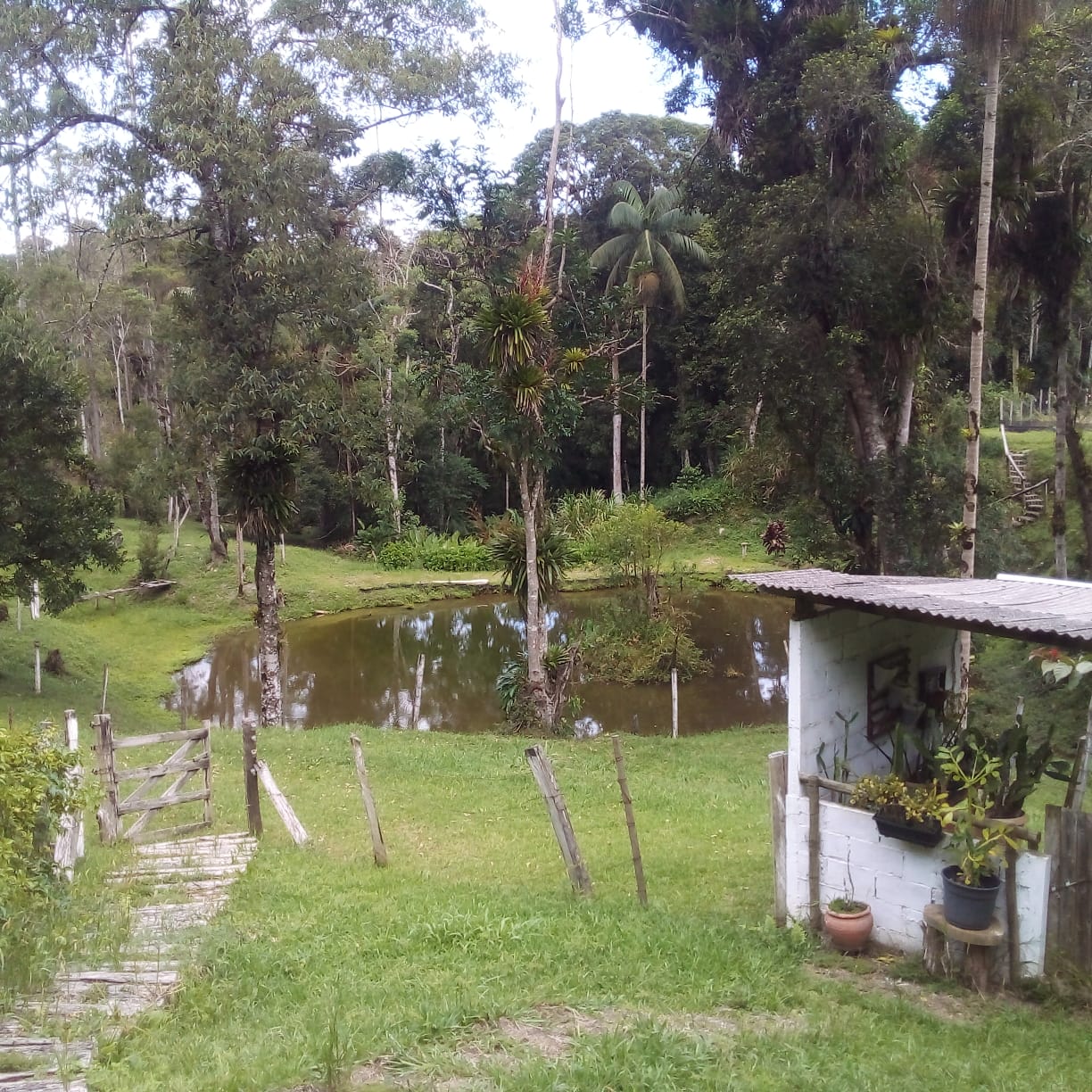 Imagem Chácara com 5 Quartos à Venda, 30 m² em Ribeirão do Ouro - Tapiraí
