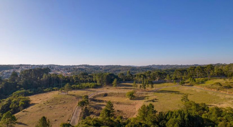 Imagem Terreno em Condomínio à Venda, 711 m² em Butiatuvinha - Curitiba
