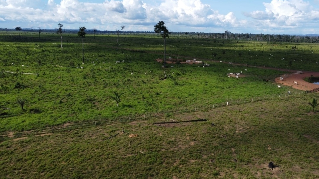 Foto do imóvel: Fazenda à Venda, 430 m² em Centro  - São Félix do Xingu