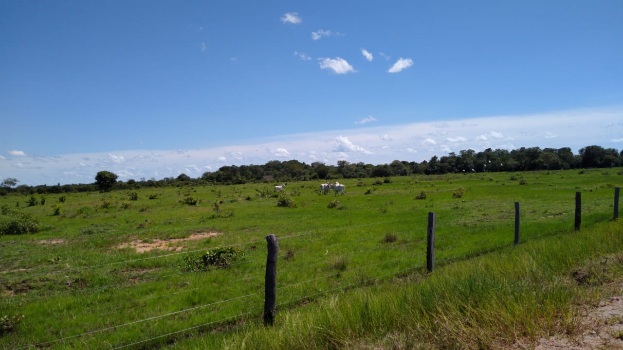 Imagem Fazenda à Venda, 543 Alq GOem Zona Rural - Cocalinho