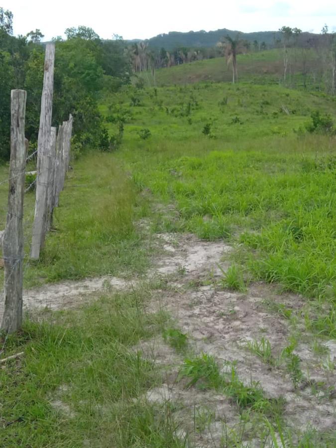 Imagem Chácara com 3 Quartos à Venda, 350 m²em 100 - Bragança