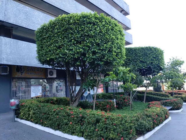 Imagem Apartamento com 2 Quartos para Alugar, 68 m²em Campina - Belém