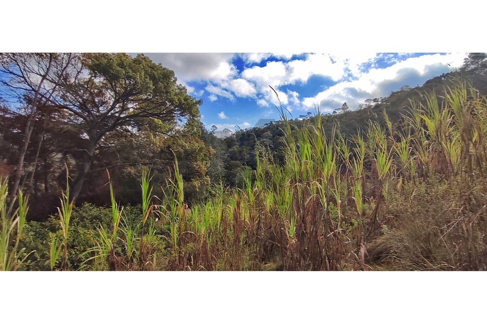 Imagem Terreno à Venda, 3.820 m² em Araras - Petrópolis