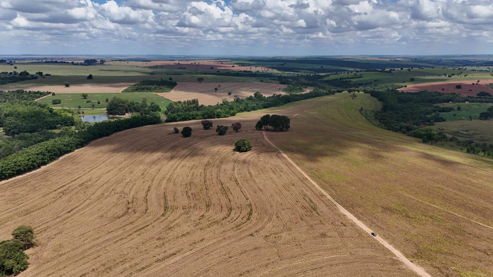 Imagem Fazenda à Venda, 138 HA em Área Rural de Echaporã - Echaporã