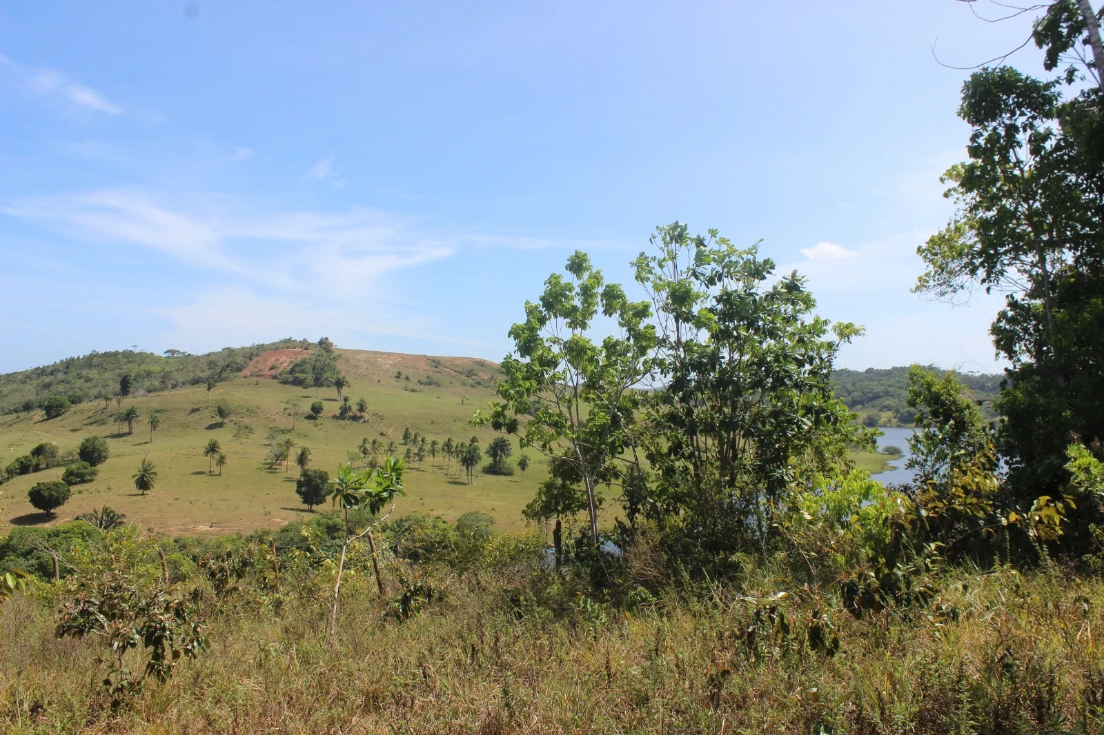 Foto do imóvel: Chácara com 2 Quartos à Venda, 20100 m² em Mata de São João - Mata de São João