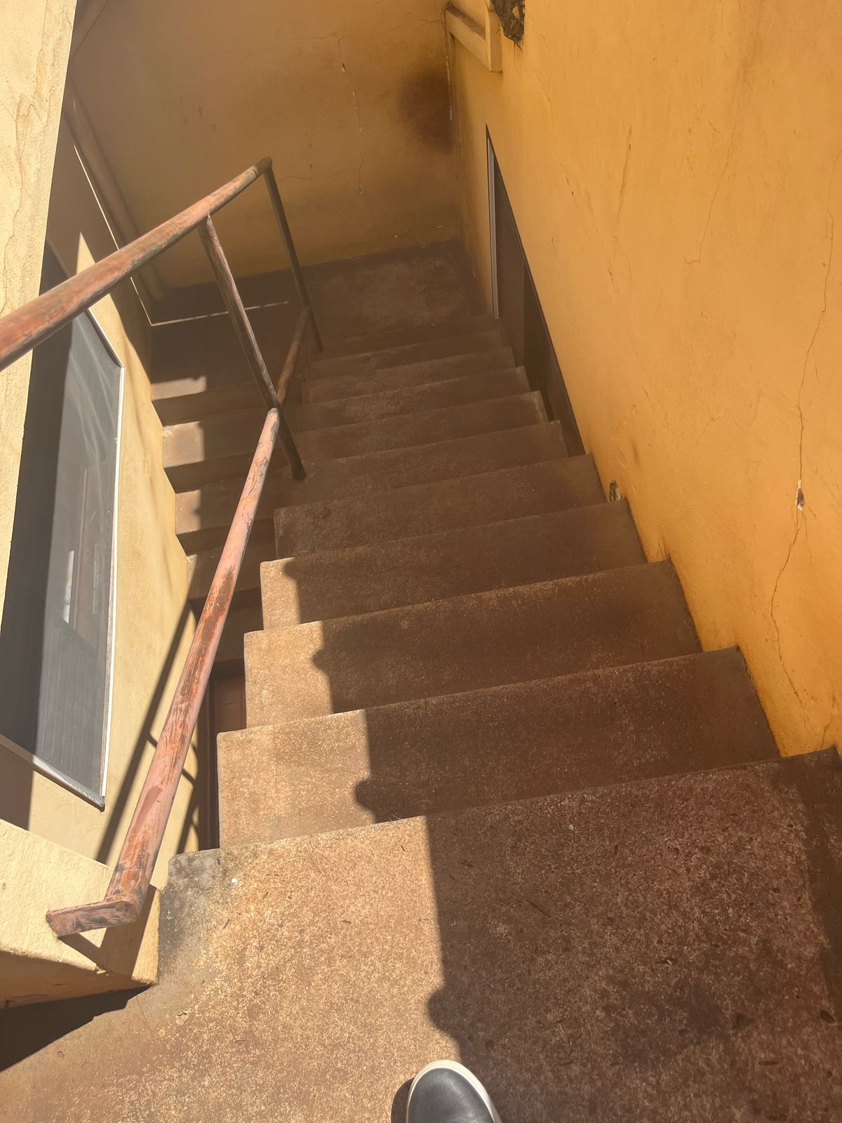 Imagem Imóvel Comercial à Venda, 200 m² em Avelino Alves Palma - Ribeirão Preto