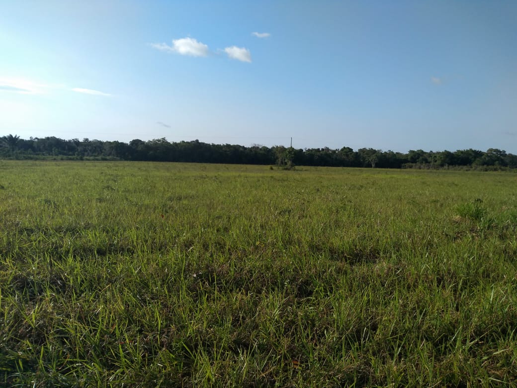 Chácara à Venda, 37 m²em Zona Rural - Vigia