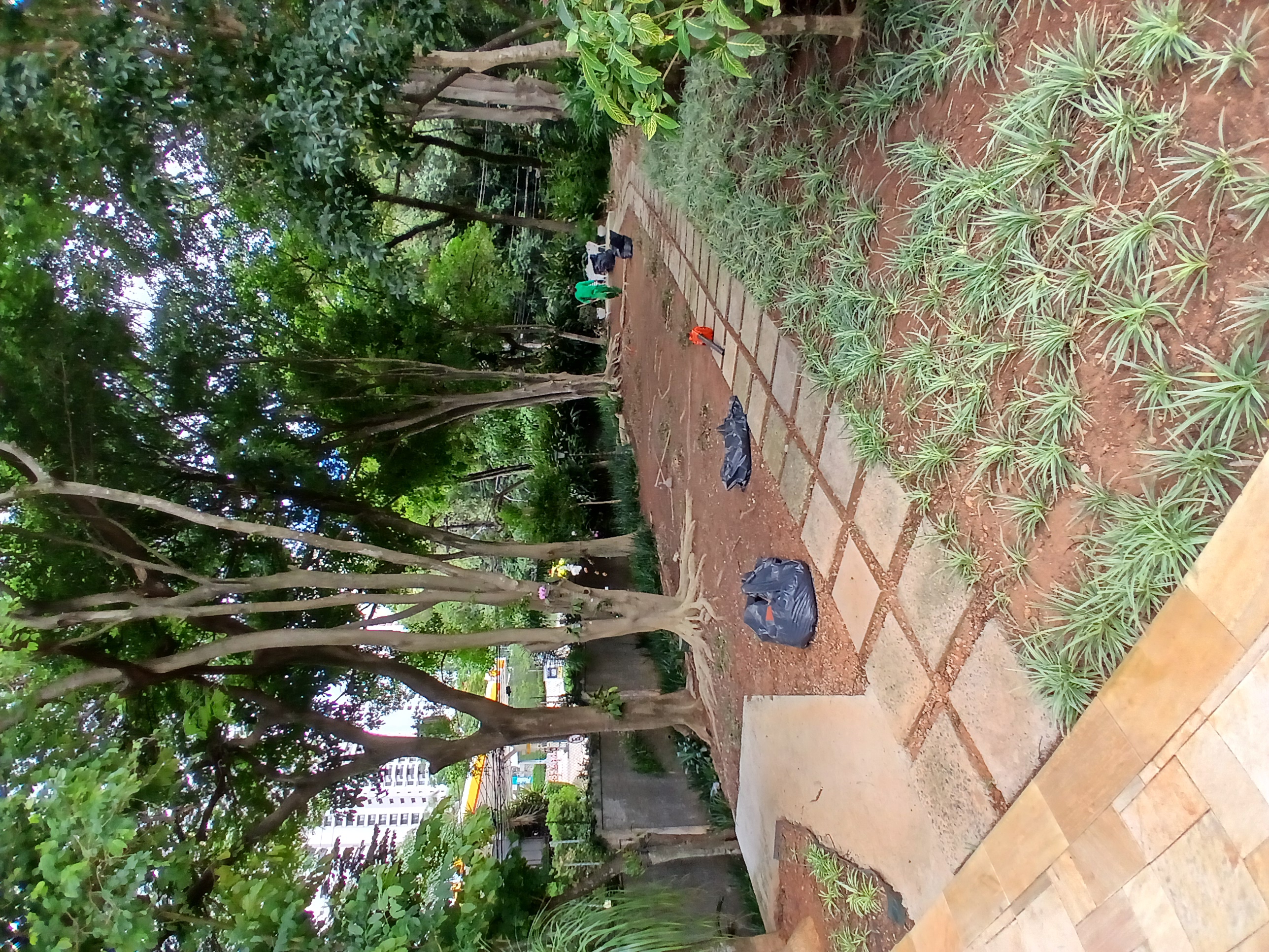 Foto do imóvel: Apartamento com 2 Quartos à Venda, 73 m² em Vila Suzana - São Paulo