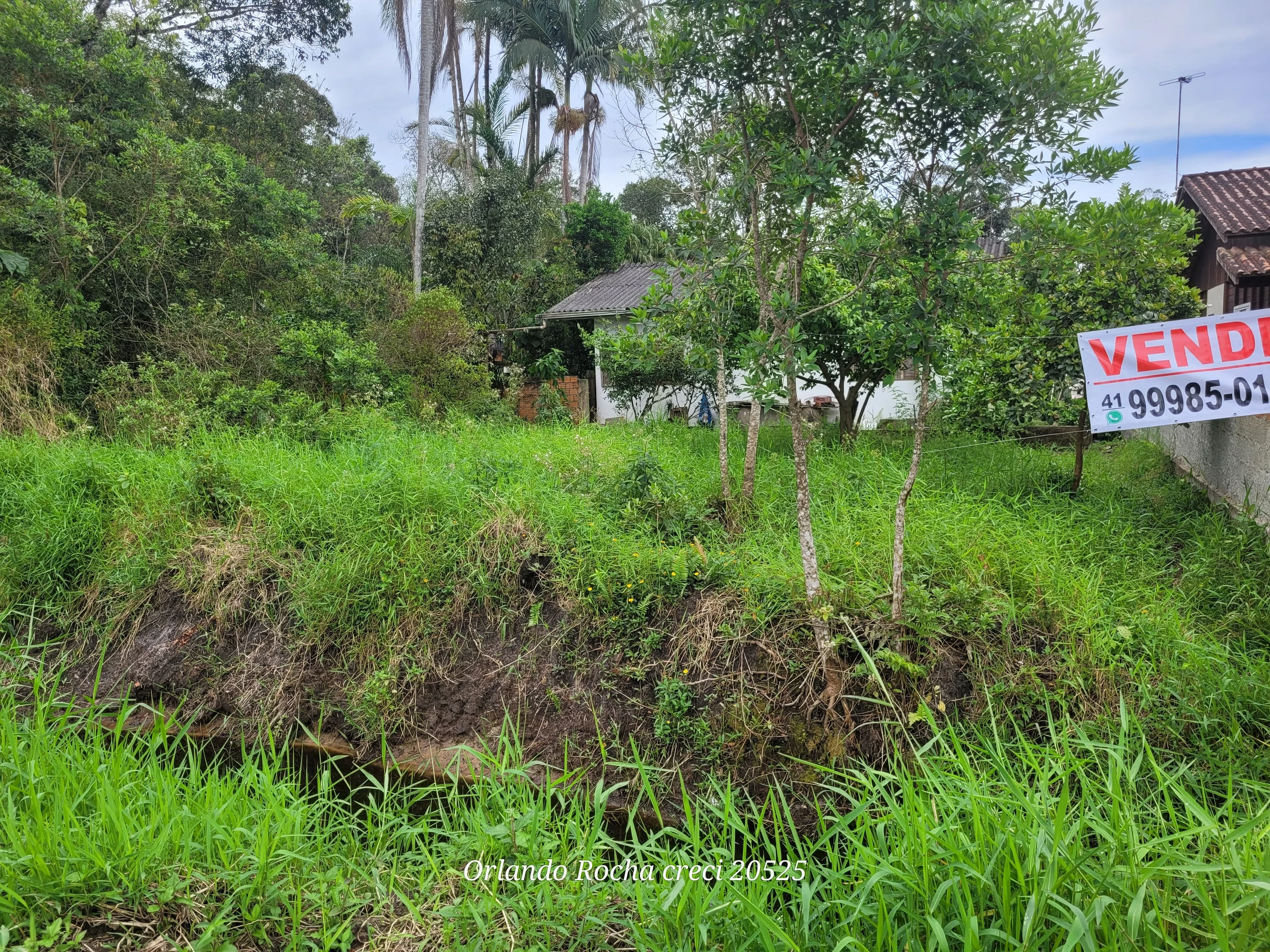 Foto do imóvel: Terreno à Venda, 384 m² em Continental - Itapoá
