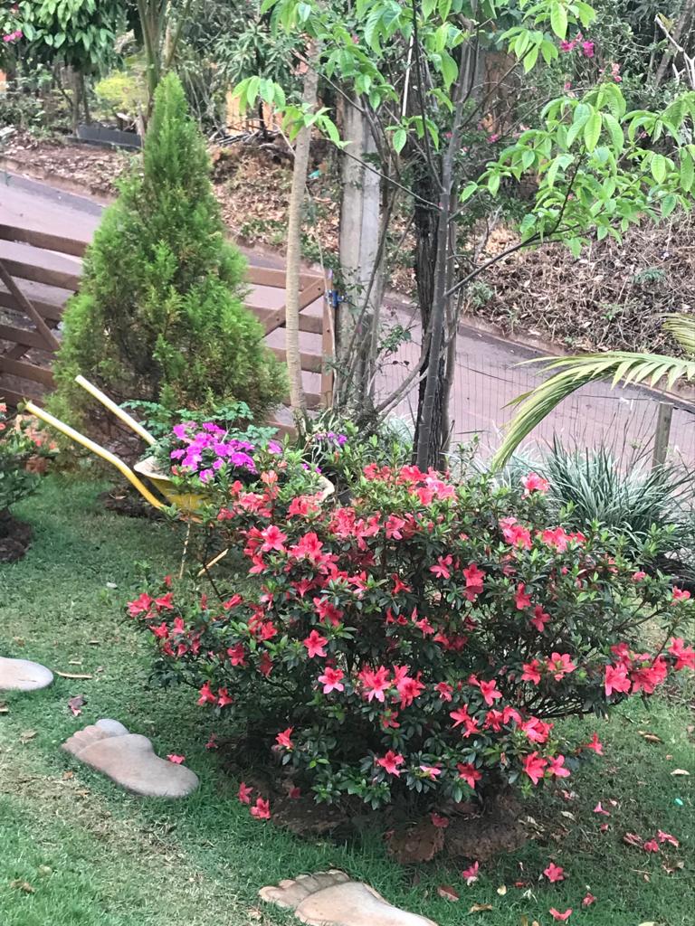 Imagem Casa com 4 Quartos à Venda, 1 m²em Recanto da Aldeia - Brumadinho