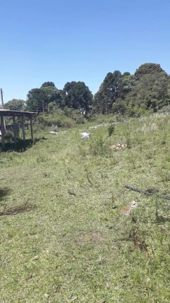 Foto do imóvel: Chácara à Venda, 6.000 m² em DIAMANTE - Mandirituba