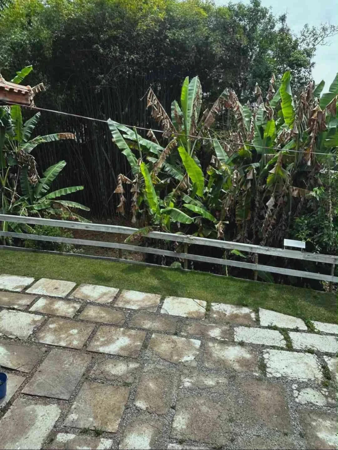 Imagem Chácara com 3 Quartos à Venda, 180 m² em Colinas - Poços de Caldas