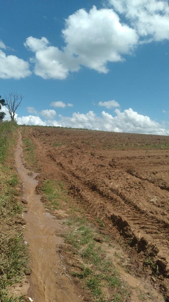 Foto do imóvel: Fazenda à Venda, 6 Alq. SP em Valadão - Piedade