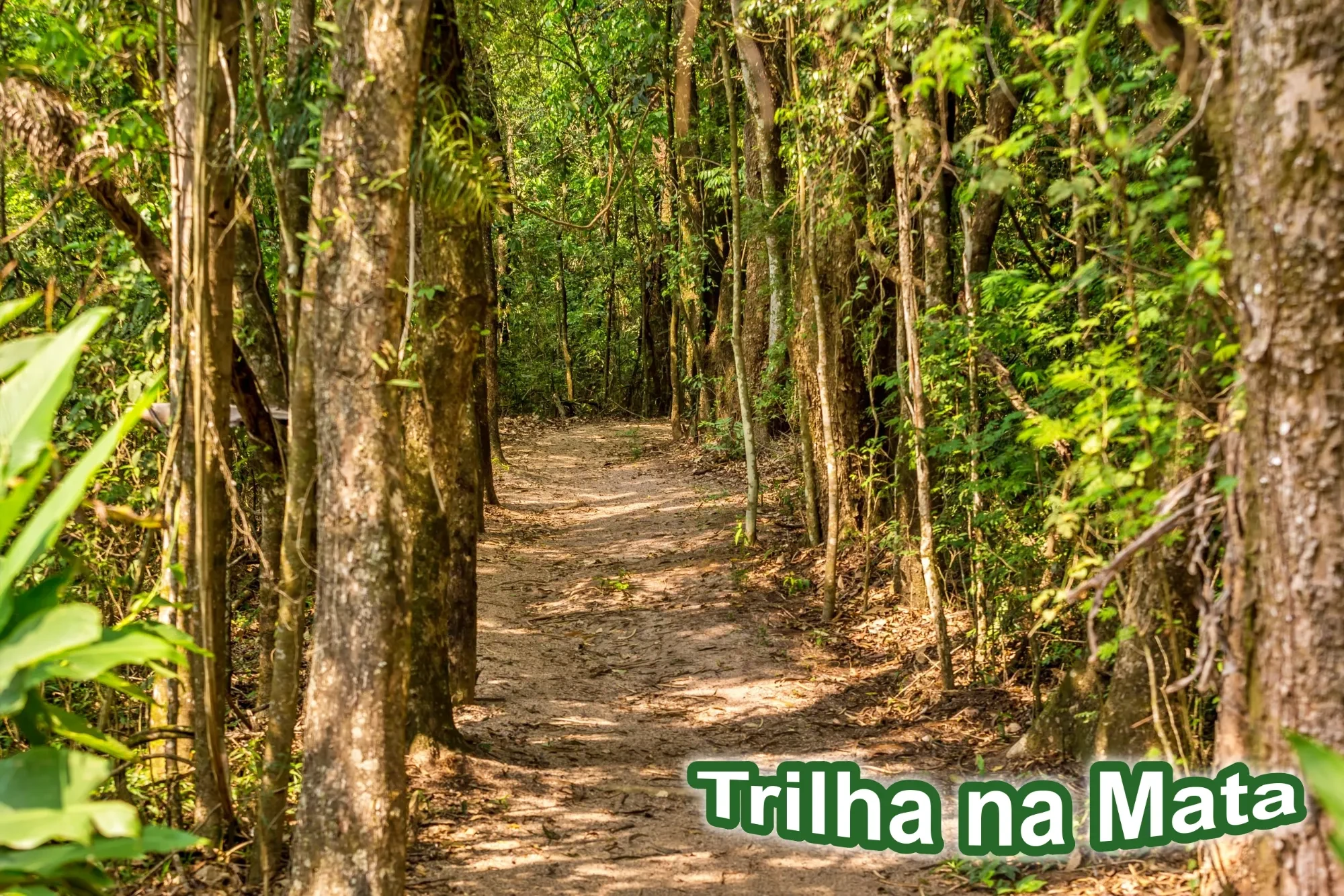 Imagem Terreno em Condomínio à Venda, 360 m² em Monte Serrat - Itupeva