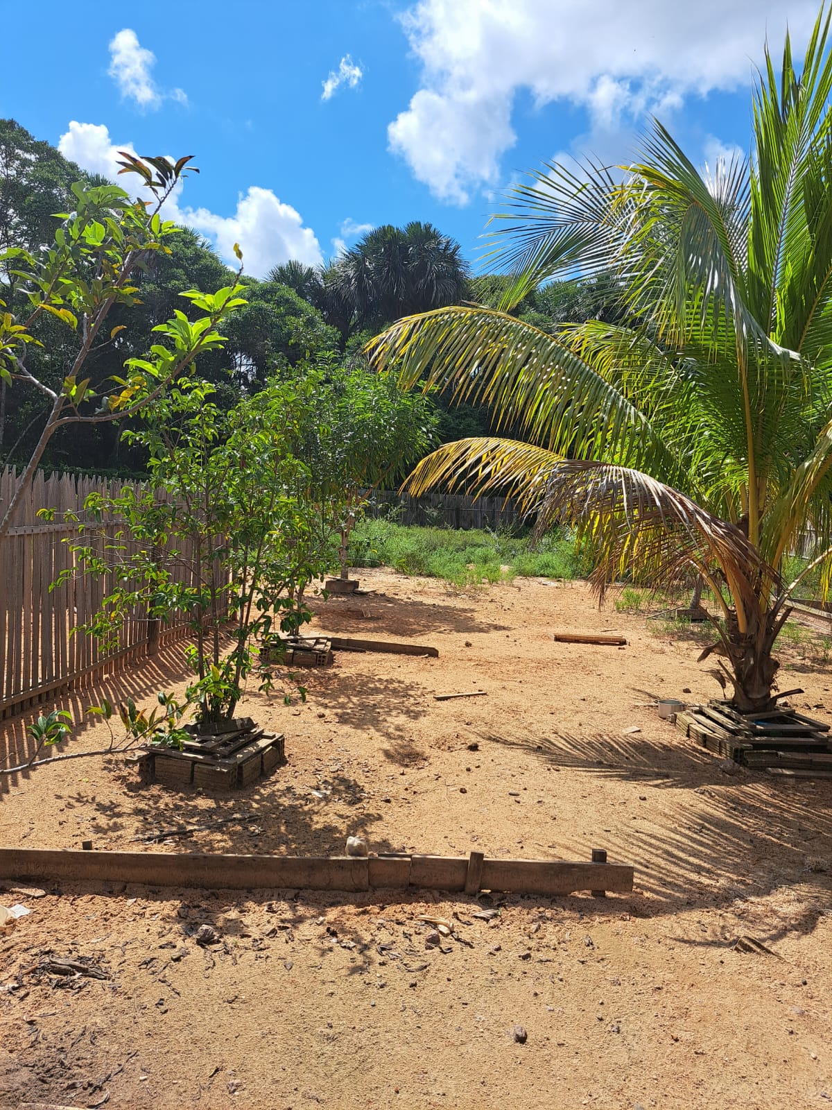 Imagem Chácara com 3 Quartos à Venda ou Temporada, 7 m²em Matinha - Santarém