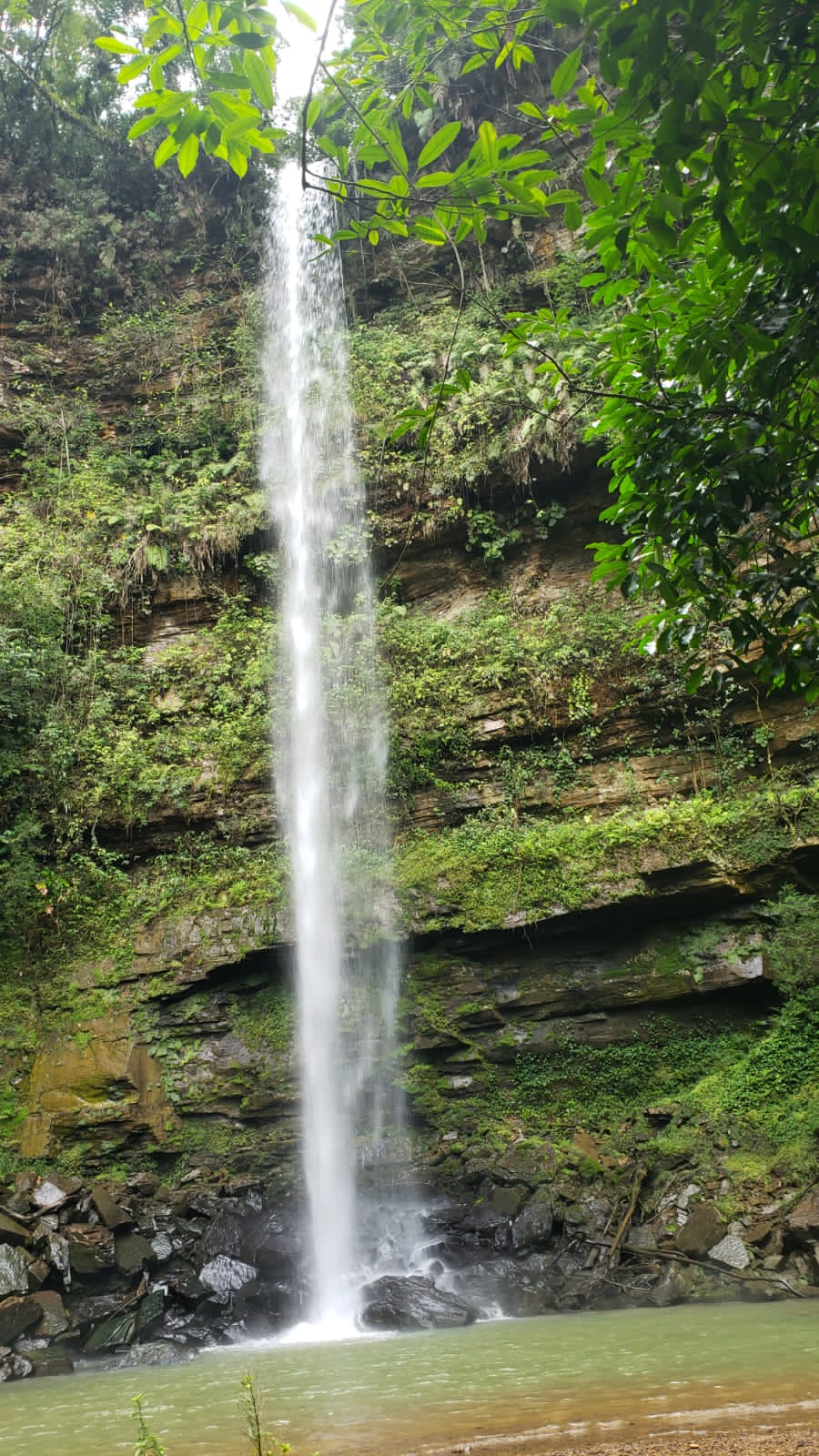 Foto do imóvel: Chácara com 2 Quartos à Venda, 20.000 m² em Capivaras Alta - Grão Pará