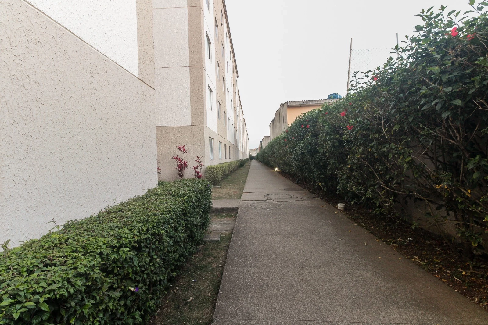 Foto do imóvel: Apartamento com 2 Quartos à Venda, 39 m² em Jardim das Oliveiras - São Paulo