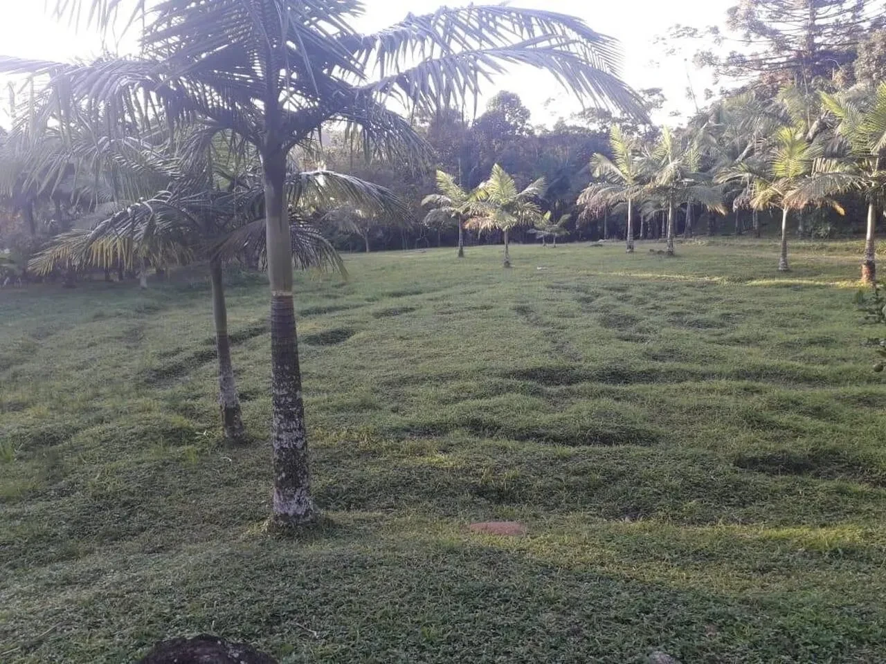 Imagem Terreno à Venda, 302000 m² em Juquiá - Juquiá