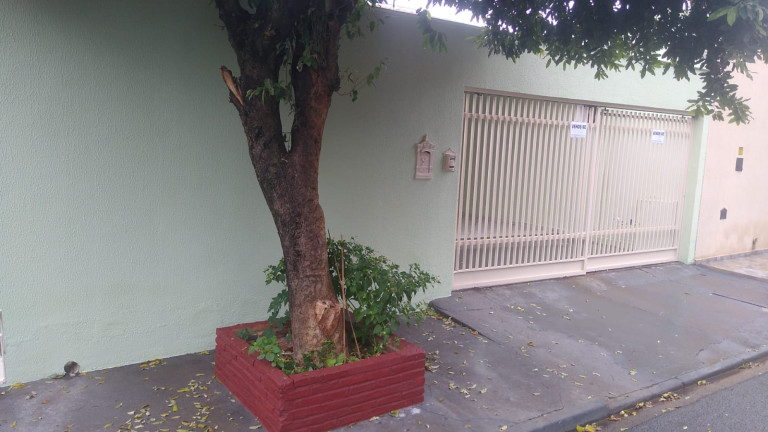 Imagem Casa com 3 Quartos à Venda, 200 m² em Palmeiras - Araçatuba
