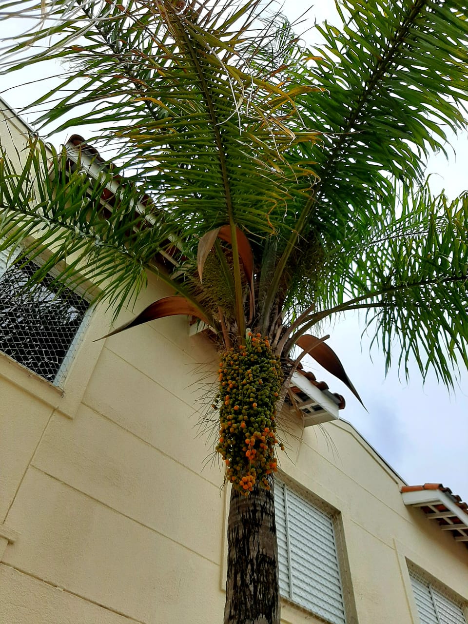 Imagem Casa de Condomínio com 2 Quartos à Venda, 80 m²em Parque Centenário - Jundiaí