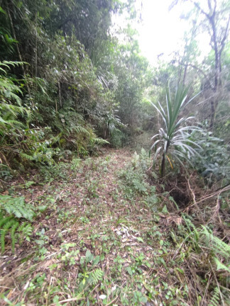 Imagem Chácara com 2 Quartos à Venda, 19.960 m² em LAGOA DOS SOUZA - Agudos do Sul