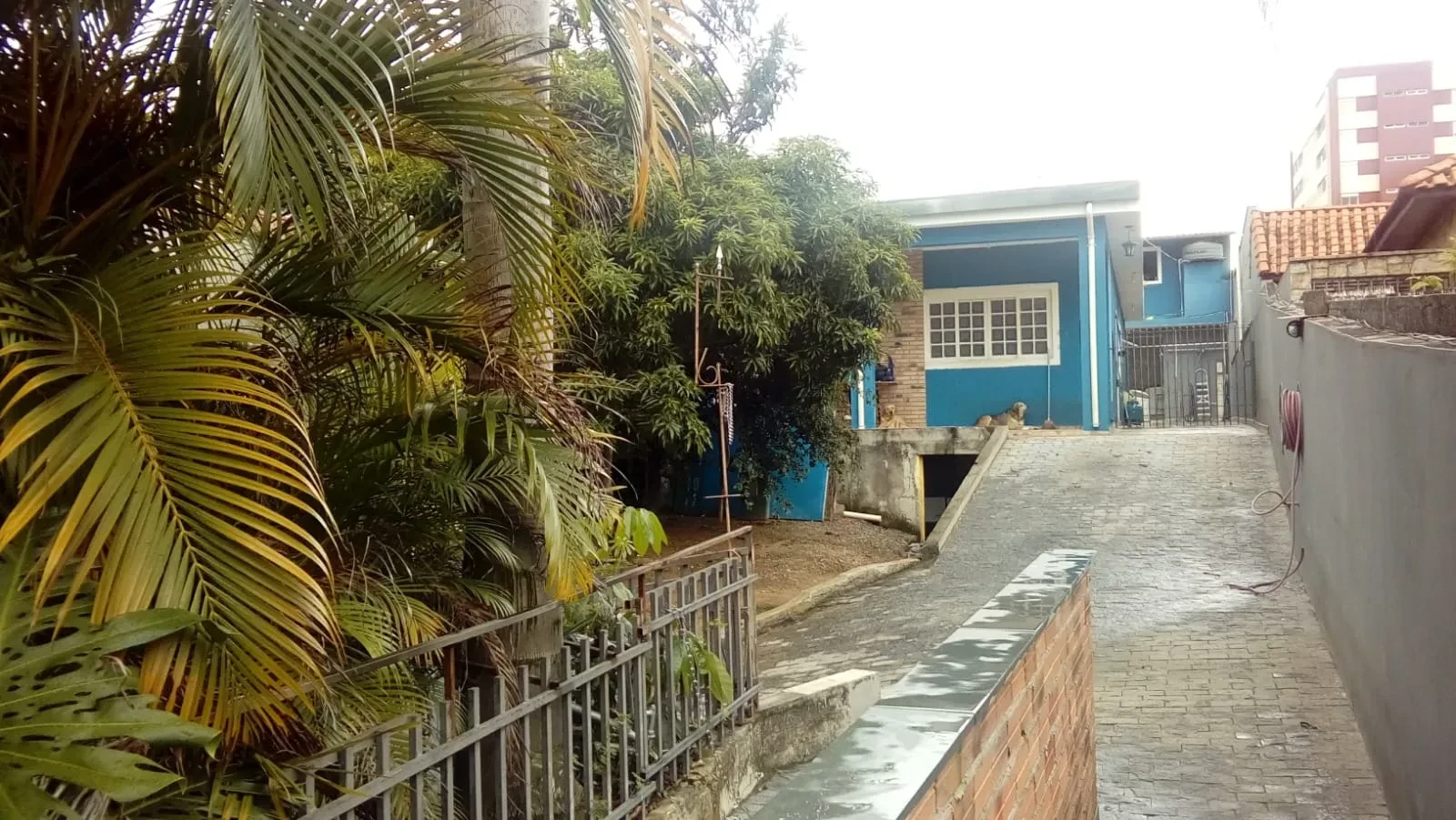 Imagem Sobrado com 3 Quartos à Venda, 590 m² em Santa Teresinha - São Paulo