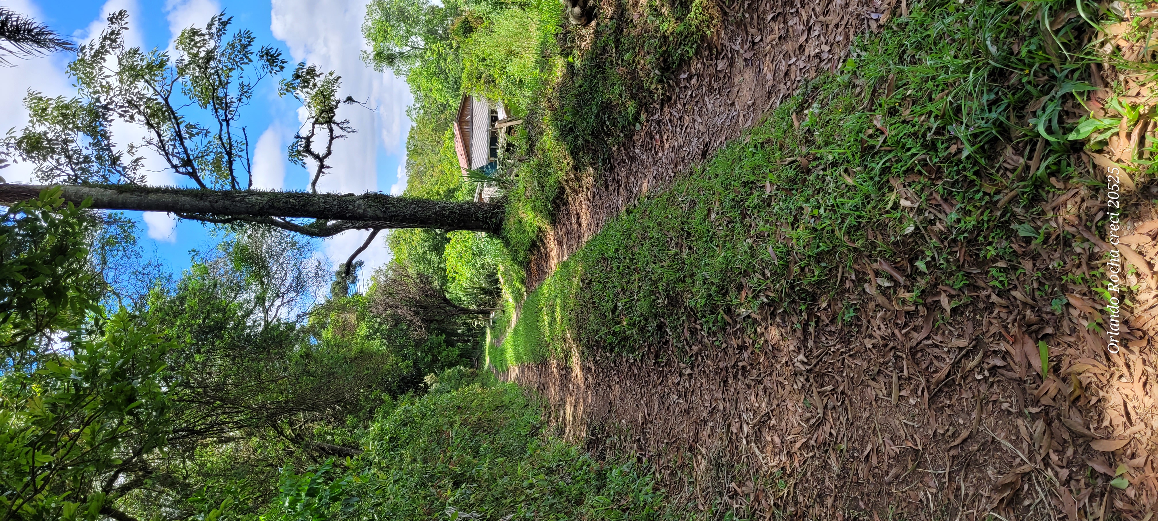 Foto do imóvel: Terreno à Venda, 3 m²em São Miguel - Curitiba