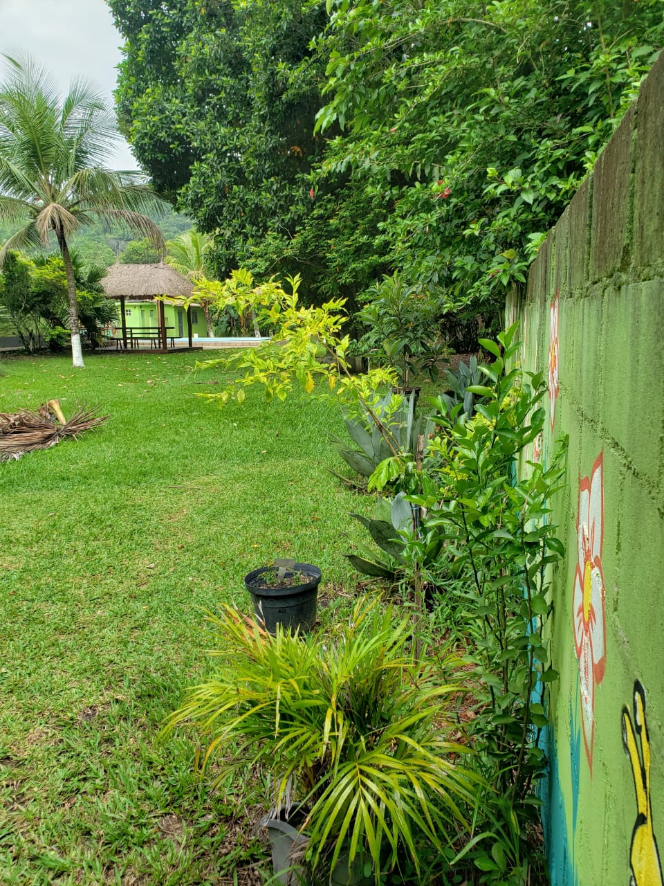 Foto do imóvel: Chácara com 2 Quartos à Venda, 2.000 m² em Mazomba - Itaguaí
