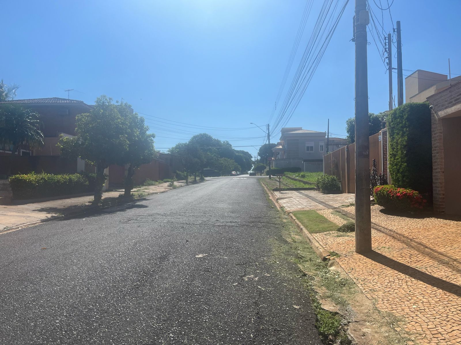 Imagem Terreno à Venda, 350 metro em Vila Ana Maria - Ribeirão Preto