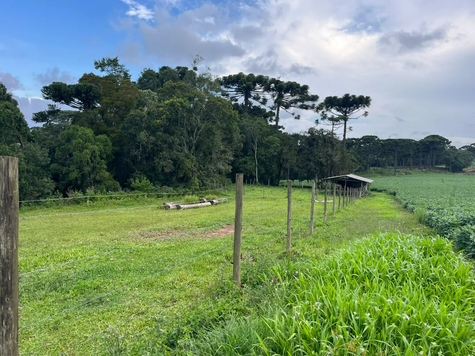 Foto do imóvel: Chácara à Venda, 20000 m² em São Marcos - São José dos Pinhais