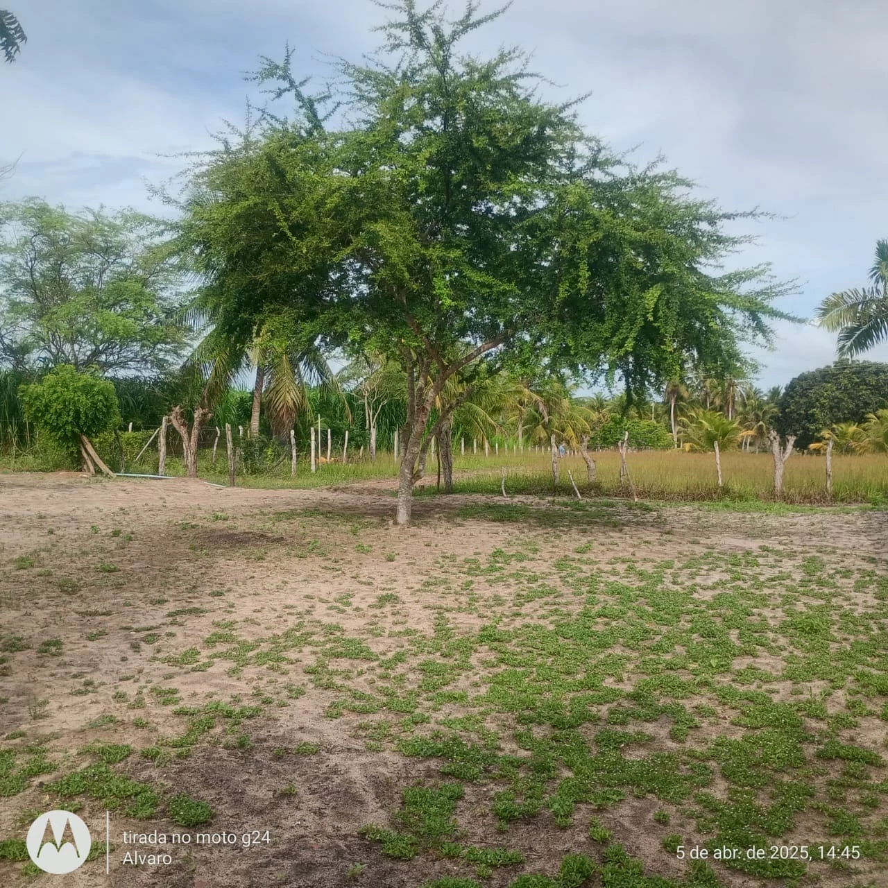 Imagem Fazenda à Venda, 14 HA em Vera Cruz - Vera Cruz