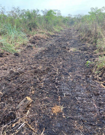 Imagem Chácara à Venda, 20.000 m² em Nova Goianira - Goianira