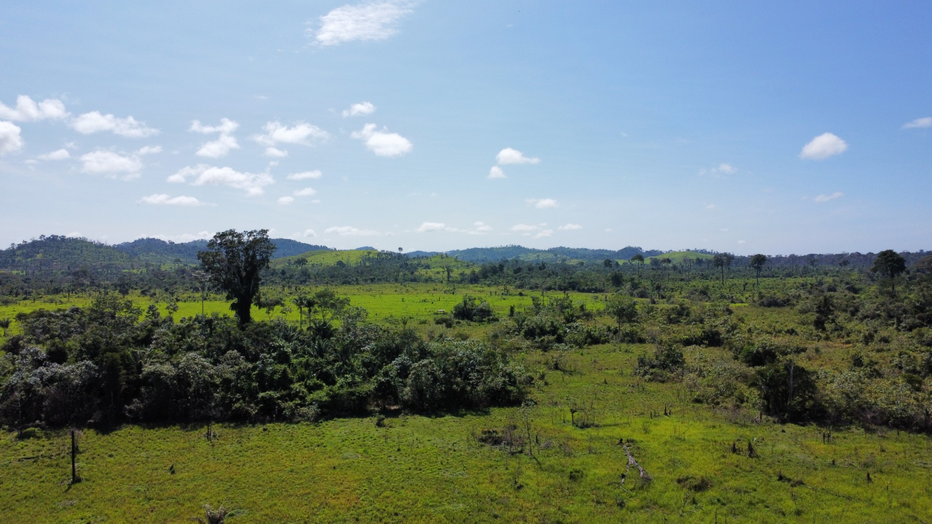 Foto do imóvel: Fazenda à Venda, 900 Alq MGem Centro  - São Félix do Xingu