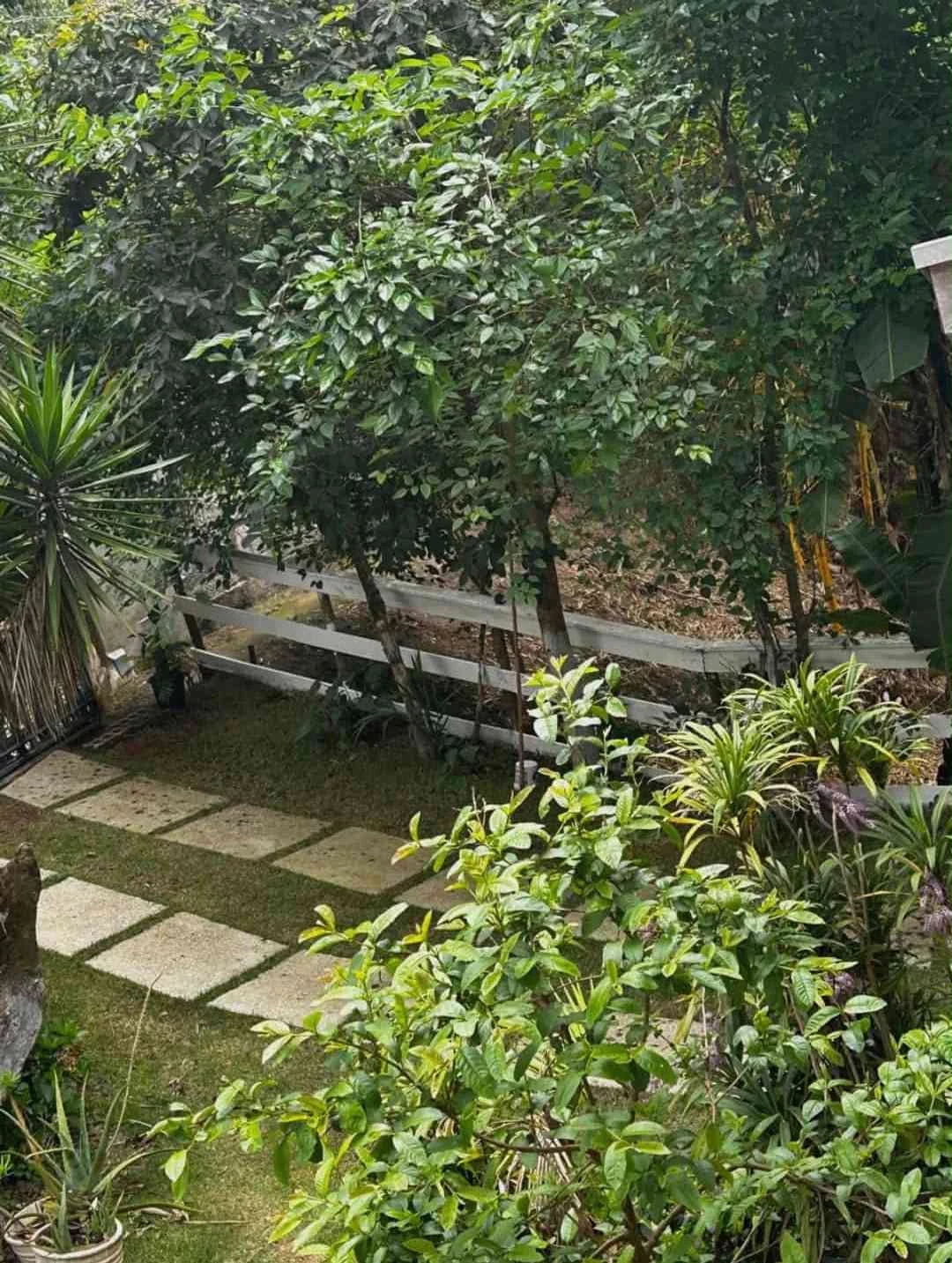Imagem Chácara com 3 Quartos à Venda, 180 m² em Colinas - Poços de Caldas